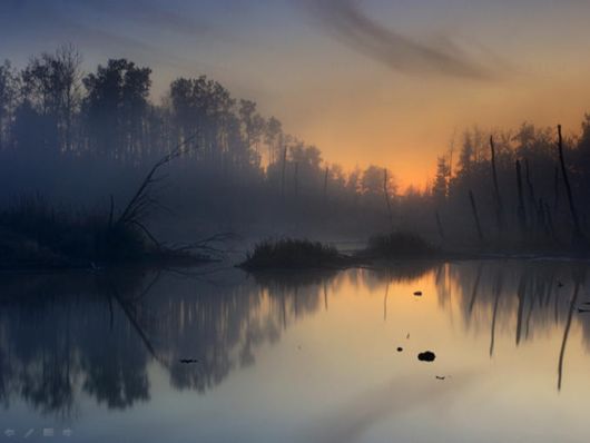 Beautiful Morning Mist And Fog