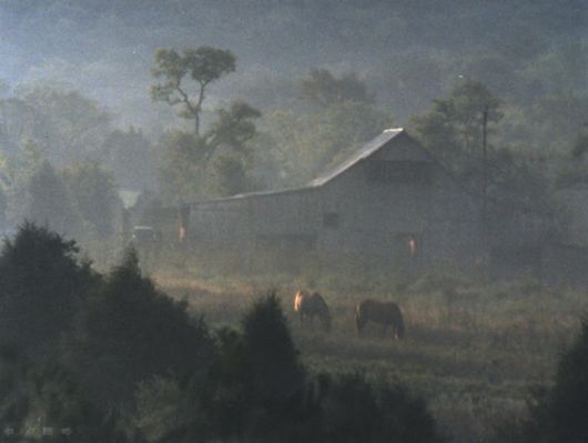 Beautiful Morning Mist And Fog