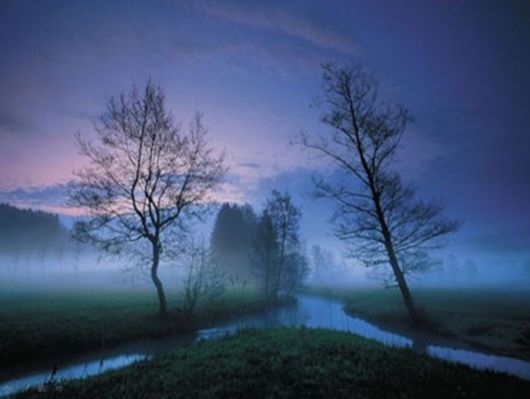 Beautiful Morning Mist And Fog