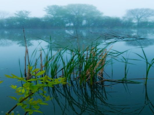 Beautiful Morning Mist And Fog