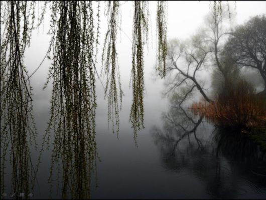 Beautiful Morning Mist And Fog