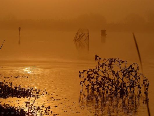 Beautiful Morning Mist And Fog