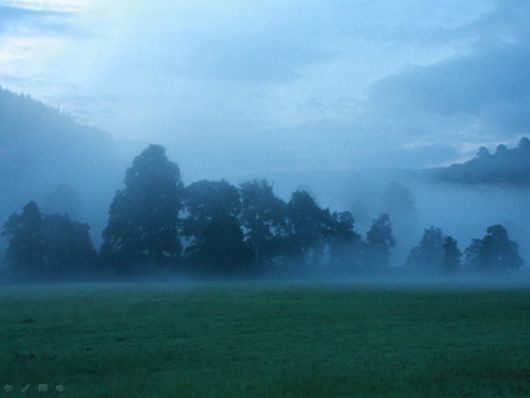 Beautiful Morning Mist And Fog