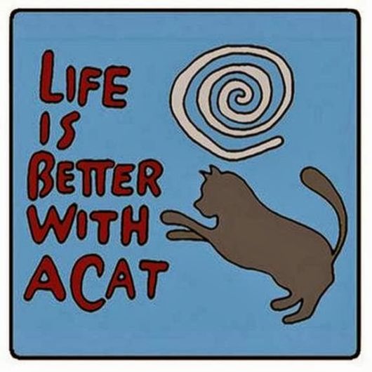 Awesome Life Quotes By Famous People