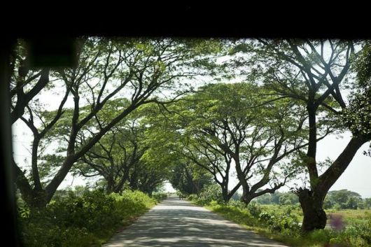 11 Of The Greenest Cities In India