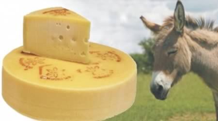 Most Bizarre Types Of Cheese