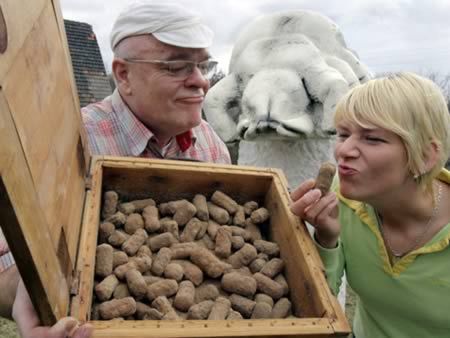 Most Bizarre Types Of Cheese