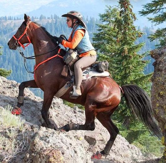 Awesome Creative Horse Shoes