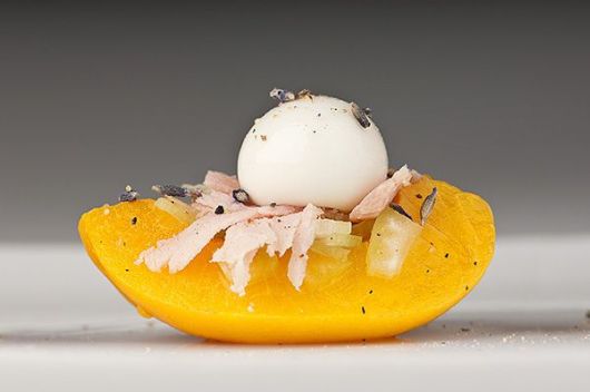 Amazing Molecular Gastronomy Photography