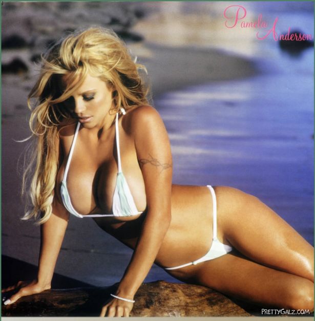 Old is Gold Pamela Anderson